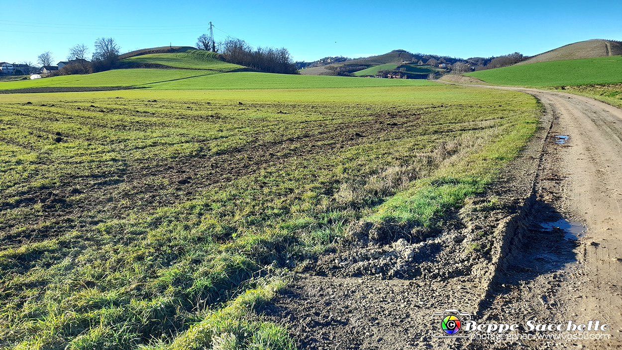 20230110_150714 - Dalla terra... il grano.jpg
